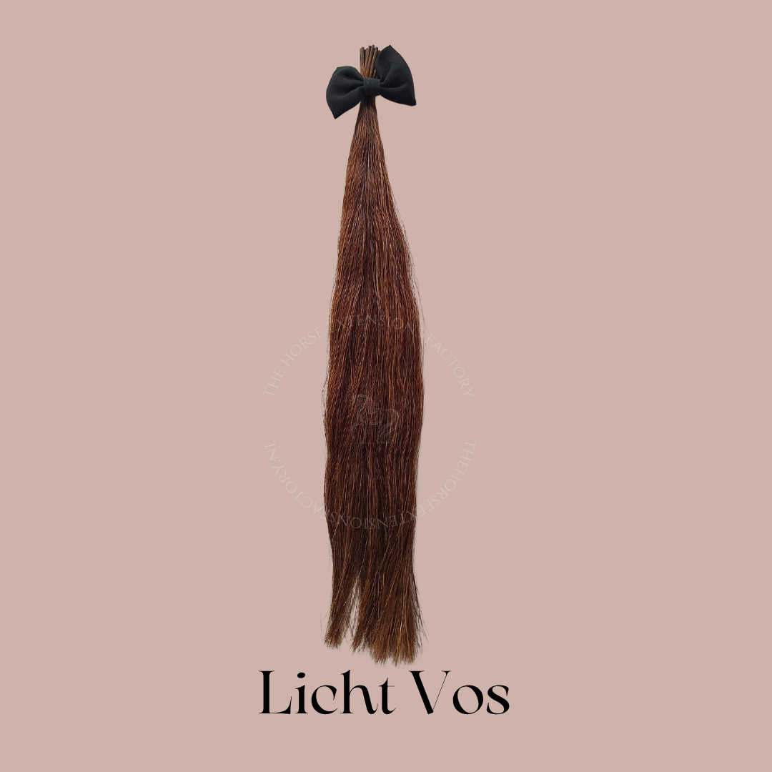 DIY Paarden I-Tip Extensions Manen